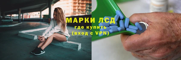сатива Покачи
