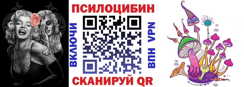 наркошоп  Новоульяновск  Галлюциногенные грибы Psilocybine cubensis 